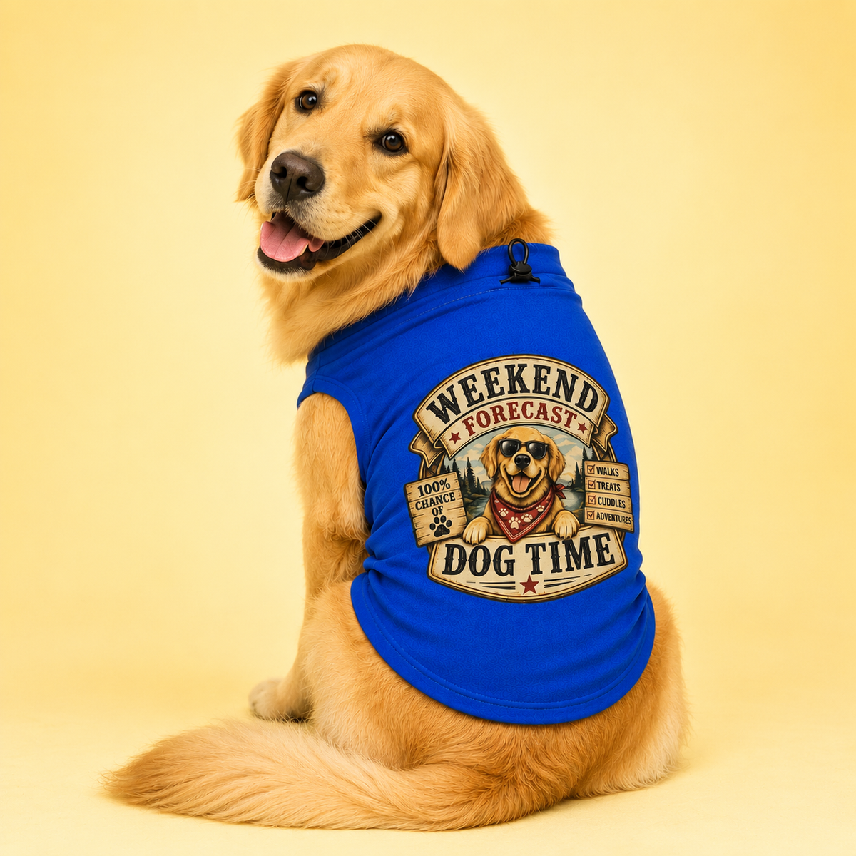 MowmyTails Royal Blue T-Shirt – Choose Your Sticker-Style