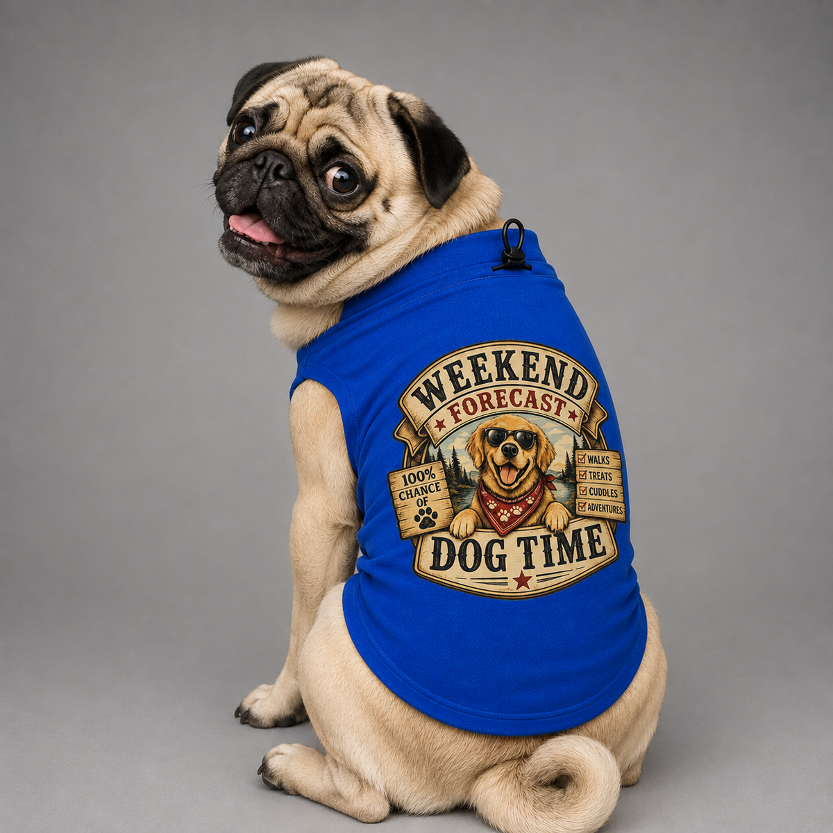 MowmyTails Royal Blue T-Shirt – Choose Your Sticker-Style