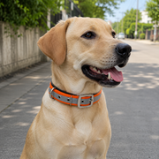 Mowmy Tails Premium Soft Padded Reflective Collar