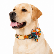 Mowmy Tails Luxe Bow-Tie Collar - Forest Friends