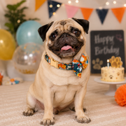 Mowmy Tails Luxe Bow-Tie Collar - Forest Friends
