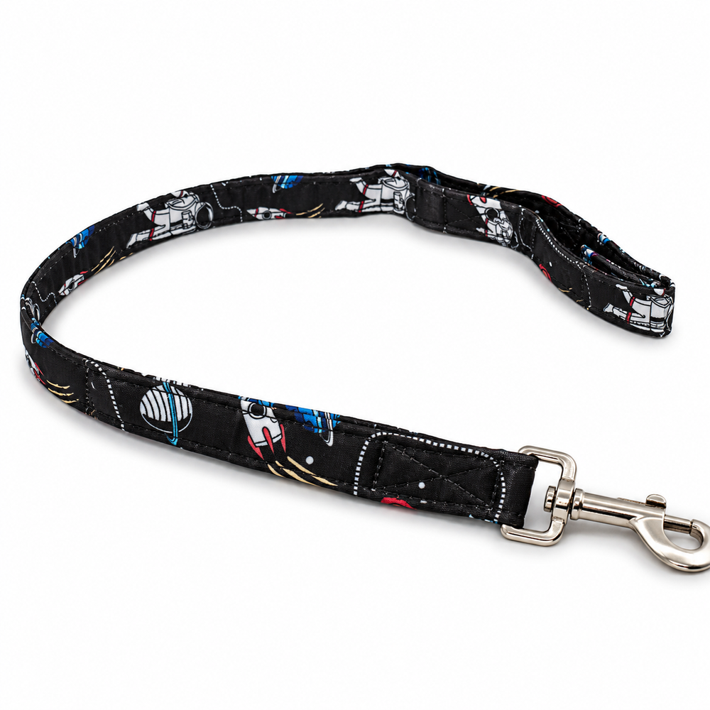 Space - Harness