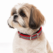Mowmy Tails Premium Soft Padded Reflective Collar