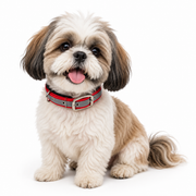 Mowmy Tails Premium Soft Padded Reflective Collar