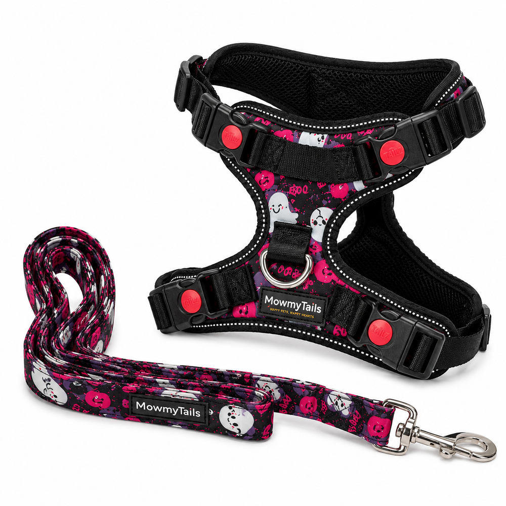 Ghost - Front