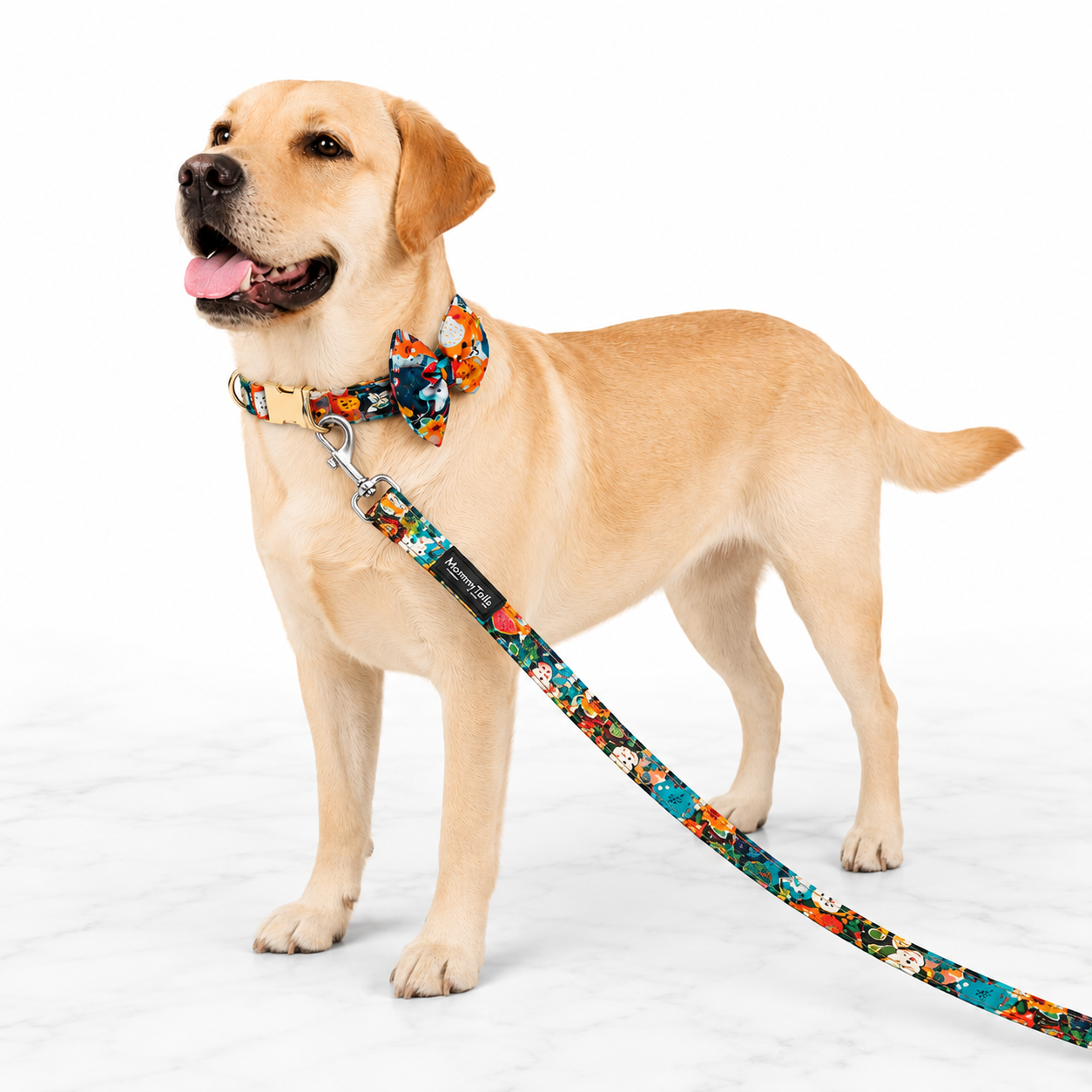 Mowmy Tails Luxe Leash