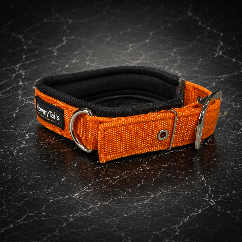 Orange - Side