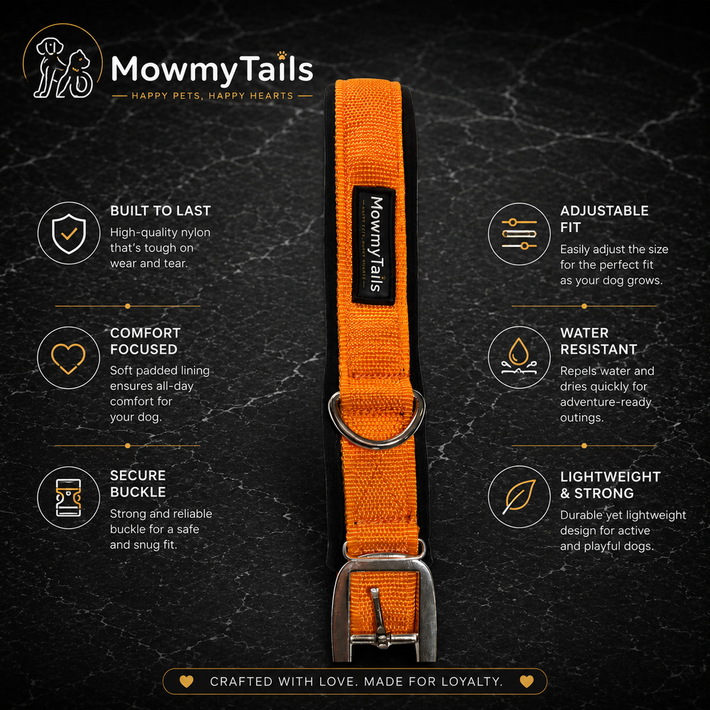 Orange - Details