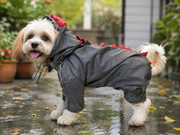 Mowmy Tails Dino-Themed Full-Body Raincoat
