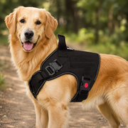 Mowmy Tails Ranger Tactical Harness