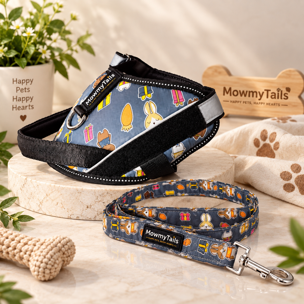 Mowmy Tails Explorer Adventure Set - Bunny